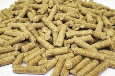 鯽魚品種有哪些，包括高背鯽、彭澤鯽等種類
