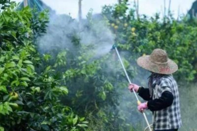 聯(lián)肼乙螨唑有什么作用，可用來防治螨蟲