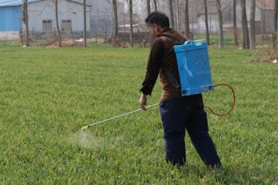小麥蚜蟲的防治方法，分為農業(yè)、生物、化學防治