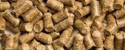 濕料可以加工飼料顆粒嗎，需要控制好飼料中的水分