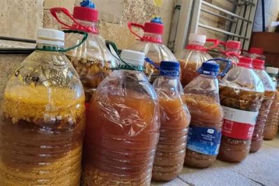 農(nóng)用酵素的制作方式，原料為紅糖、水果原漿等