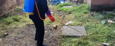 除草劑的作用原理，可破壞激素的平衡和抑制光合效率