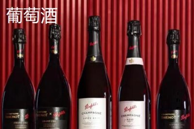 寧夏的九大重點(diǎn)特色產(chǎn)業(yè)，有中國(guó)枸杞之鄉(xiāng)的稱號(hào)