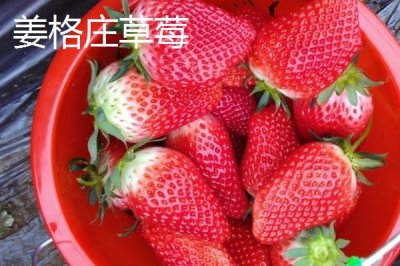 山東萊西的特產(chǎn)，是國務(wù)院確定的沿海地區(qū)對外開放縣市之一