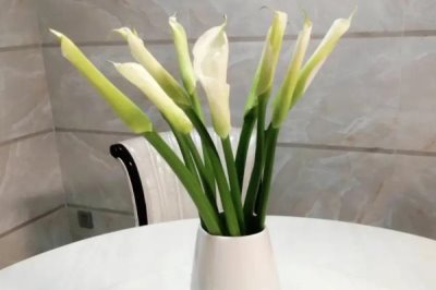 紫色馬蹄蓮的花語，寓意希望、單純的愛等