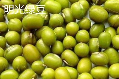 安徽省明光市的特產(chǎn)，明光梅魚(yú)一直列為席上佳肴
