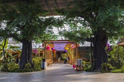 農(nóng)村缺哪些市場，舊房翻新、種植有機蔬菜、發(fā)展主題農(nóng)莊等項目可以考慮