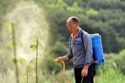 瀏陽霉素的使用方法，針對不同的蟲害的防治方法不同
