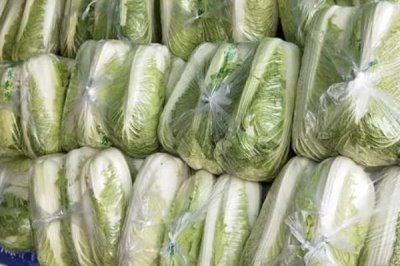 大白菜產(chǎn)品的發(fā)展趨勢，加工專用品種將成為育種目標(biāo)之一