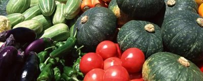 大棚蔬菜早春怎么施肥，澆灌緩苗水時(shí)可隨水沖施有機(jī)肥