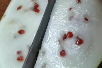 三白西瓜多少天成熟，坐果后經過40天左右會成熟