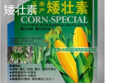 矮壯素和多效唑的區(qū)別，應用范圍、施用方法均不同