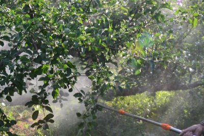 丙環(huán)唑有什么作用和用途，具有保護(hù)和治療作用、可防治多種真菌引發(fā)的病害