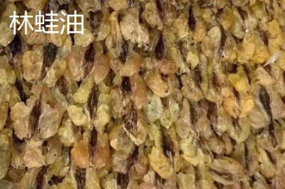 吉林省延吉市的特產(chǎn)，長白山人參是知名特產(chǎn)
