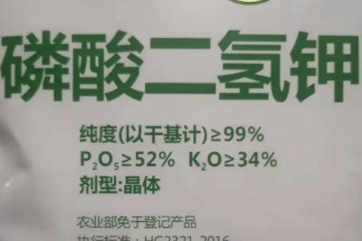 催熟小麥的藥物有哪些，常用的有乙烯利、多效唑和磷酸二氫鉀等
