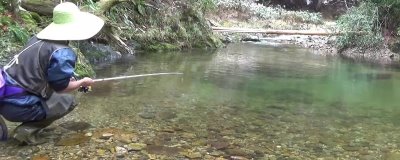 溪流竿和鯽魚竿有什么區(qū)別，溪流竿是傳統(tǒng)竿、鯽魚竿是臺釣竿