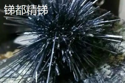 湖南冷水江市的特產(chǎn)，冷水江楊梅大如蛋