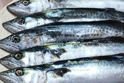 刺鲅魚的市場價，市場價在5-35元一斤