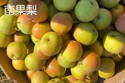 遼寧遼陽(yáng)市的特產(chǎn)，是中國(guó)有名的歷史文化古城