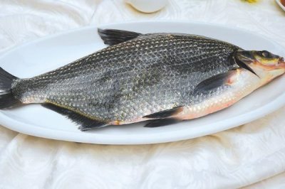 鳊魚的產(chǎn)地，主要分布于長江中、下游附屬中型湖泊