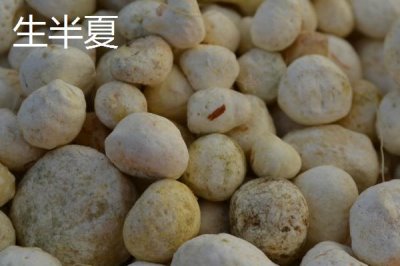 半夏的種類，分為生半夏、法半夏、姜半夏和清半夏