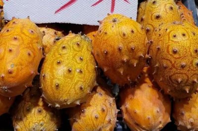 種什么東西可以致富，檸檬、圣女果、藍(lán)寶石葡萄等水果可以考慮