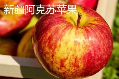 我國蘋果產(chǎn)地，主要集中在北方