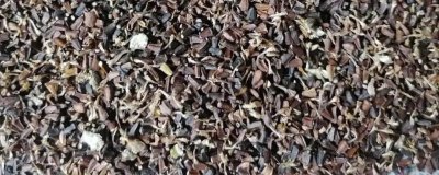 茼蒿種子的價格，大約在15-20元左右一斤