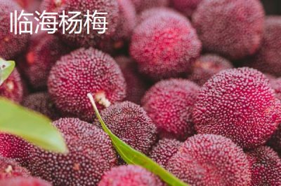 浙江省諸暨市的特產(chǎn)，同山燒被譽為“江南小茅臺”