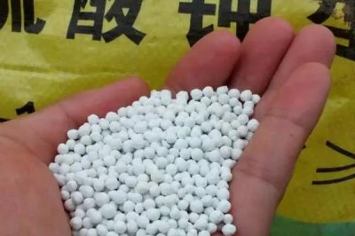 顆粒水溶肥有什么優(yōu)勢，溶解速度快、利用率高、富含養(yǎng)分
