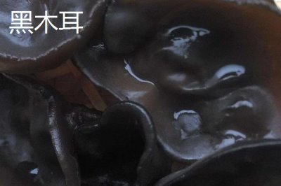 黑龍江的特產(chǎn)，是“大馬哈魚之鄉(xiāng)”