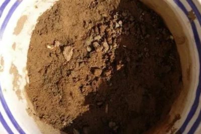 家庭版黃瓜種植技巧，一年四季均可播種