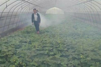 10ml雙甲脒要兌多少水，針對不同動物的兌水量不同