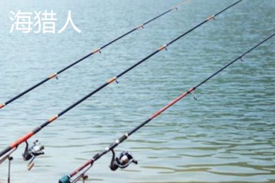 一套釣魚的海竿要多少錢，具體價格因品牌而異