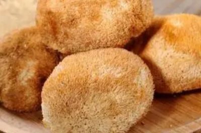 農(nóng)村珍稀食用菌品種，這5種發(fā)展前景一片大好