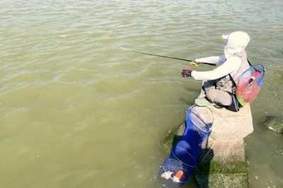 七星鉤釣白條魚如何快速上魚，在釣點處拋投線組可吸引大量魚兒
