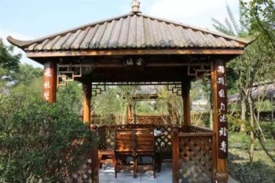大暑節(jié)氣的習(xí)俗，主要有喝伏茶、燒伏香、曬伏姜