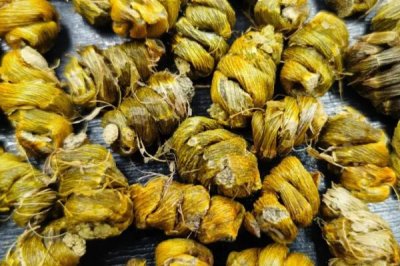 哪里產(chǎn)出的鐵皮石斛比較好，有名的產(chǎn)地包括福建、浙江、廣西等省份