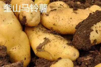 黑龍江牡丹江市的特產(chǎn)，響水大米馳名中外