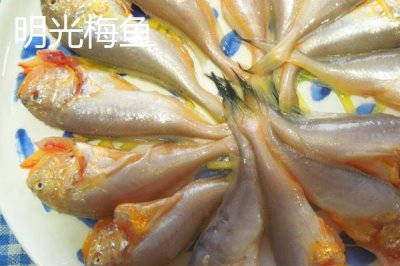 安徽省明光市的特產(chǎn)，明光梅魚(yú)一直列為席上佳肴