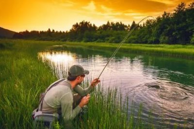 垂釣大羅非魚的方法，可選擇調1目釣3目