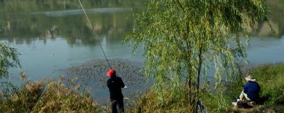 秋季釣魚的適宜時(shí)間，初秋適合在早上或下午出釣