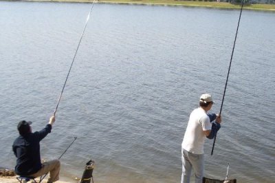 深秋釣魚適宜時間，中午溫度較高時適合作釣