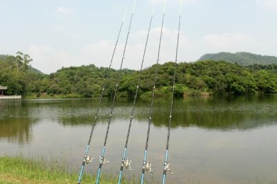 釣鳑鲏?mèng)~的技巧，一定要“小鉤細(xì)線”
