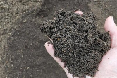 有機(jī)肥搭配使用有什么好處，可以減少化肥的副作用