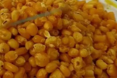 鯽魚品種有哪些，包括高背鯽、彭澤鯽等種類