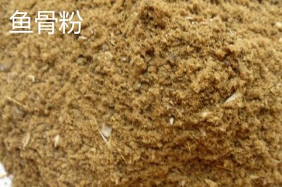 磷肥是什么，主要養(yǎng)分為磷元素