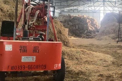養(yǎng)牛如何節(jié)省飼料，可將草料進行加工或配合飼料
