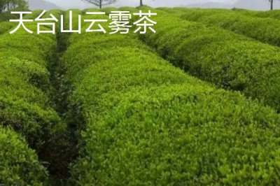 浙江臺州的特產(chǎn)，包括仙居番薯干、天臺山蜜橘、重陽糕等種類