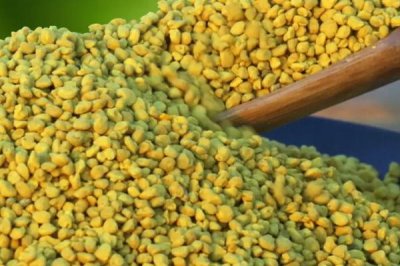 蜜蜂吃什么，花蜜、蜂王漿和糖漿都是蜜蜂的食物